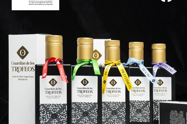 Guardian Geometria Sello Blog 2025