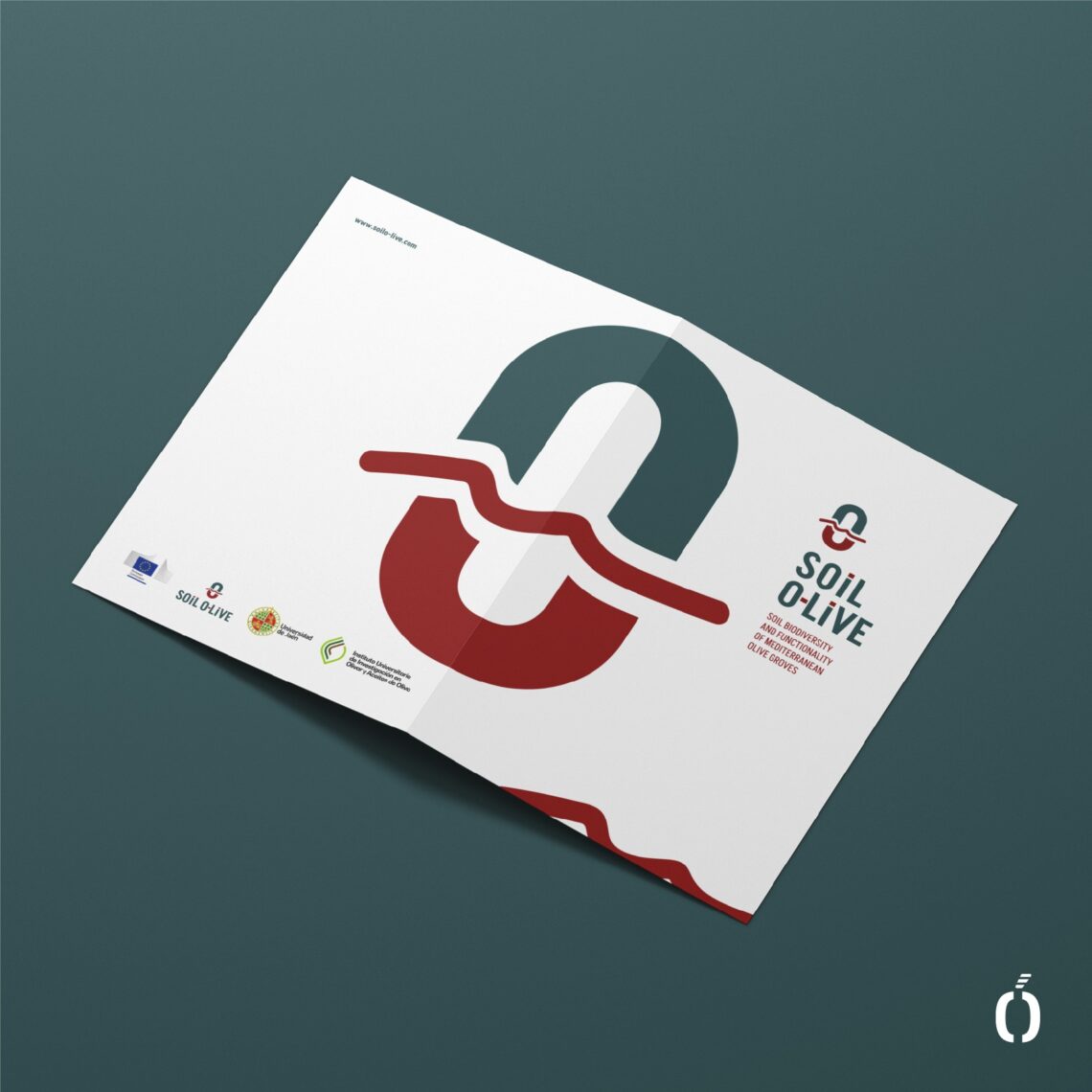 Soil Olive Folder Home 2025