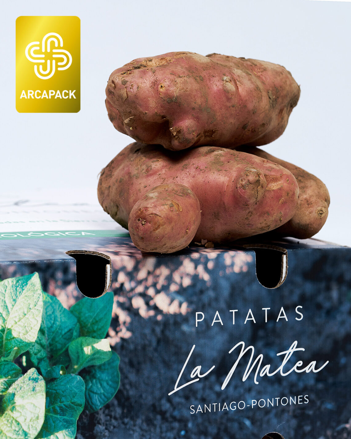 Stories y estado scaled Home 2025